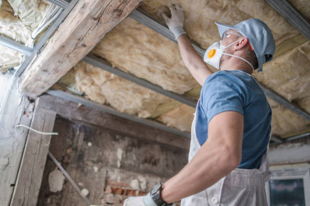 Best Blown-in Insulation in El Cerro Mission, NM