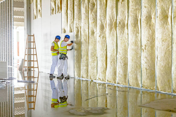 Best Residential Insulation in El Cerro Mission, NM